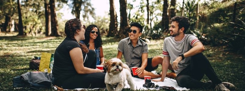four people and a cute little dog having a picnic in a park sitting on a blanket