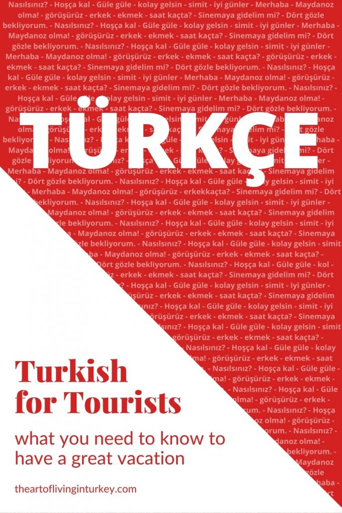 pin for Turkish for Tourists