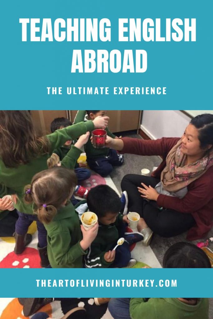 pinterest pin for teaching English Abraod the ultimate experience
