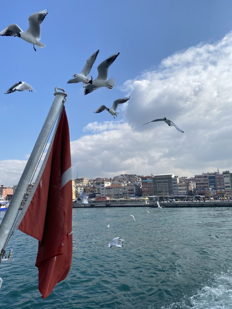 view from the ferry on the Bosphorus on a sunny and cloudy day wtih the seagulls flying behind