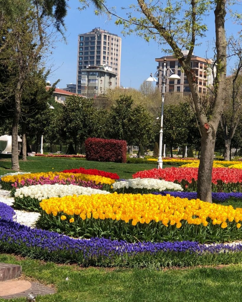 Yellow, white and pink tulips in Goztepe Park at the Istanbul Tulip Festival.