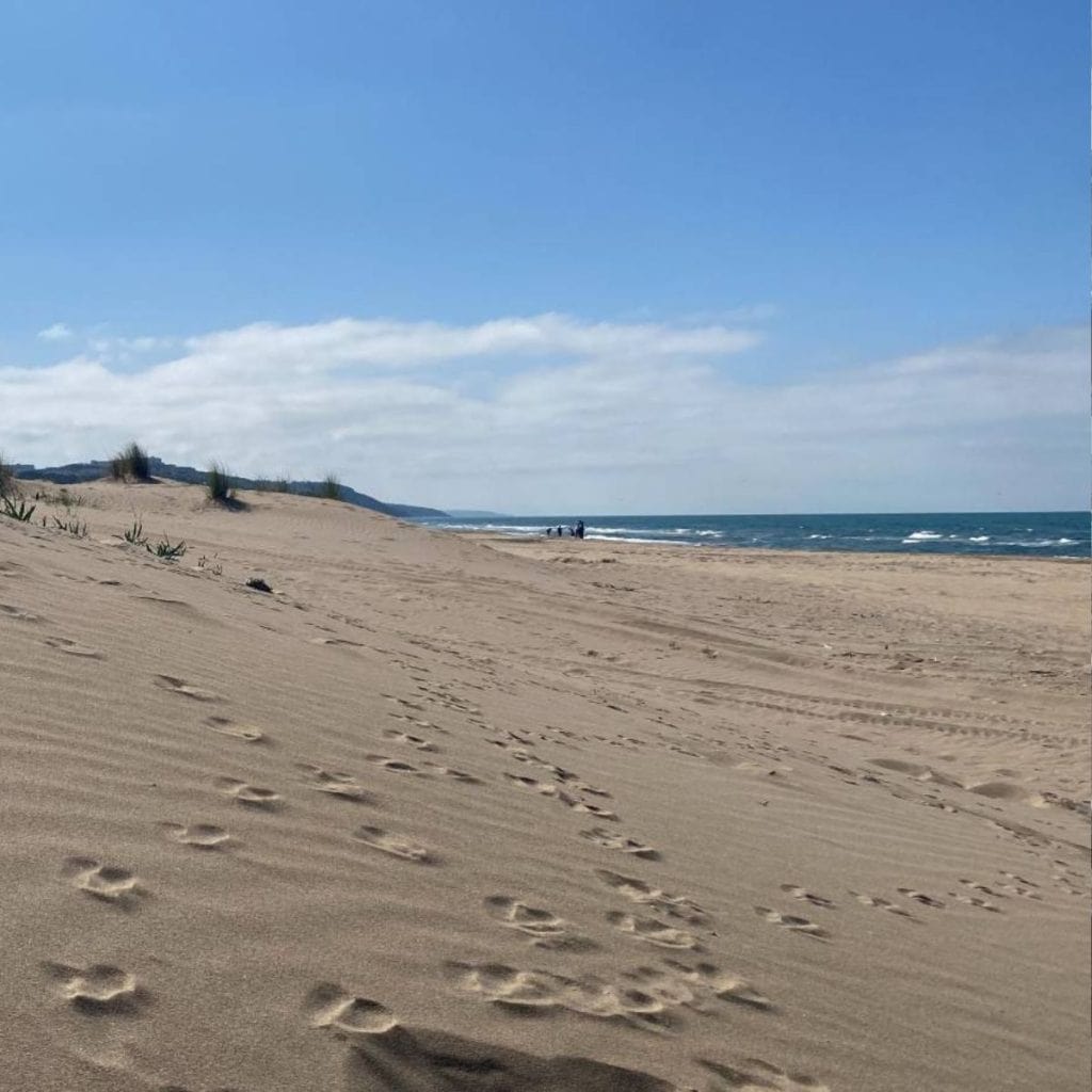 Animal footprints on a sandy beach in Sile, Istanbul, with the Black Sea in the distance.